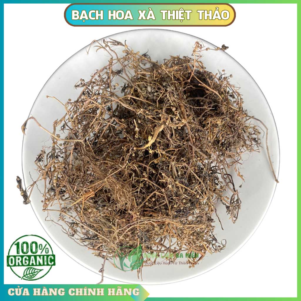 Cây Bạch hoa xà thiệt thảo