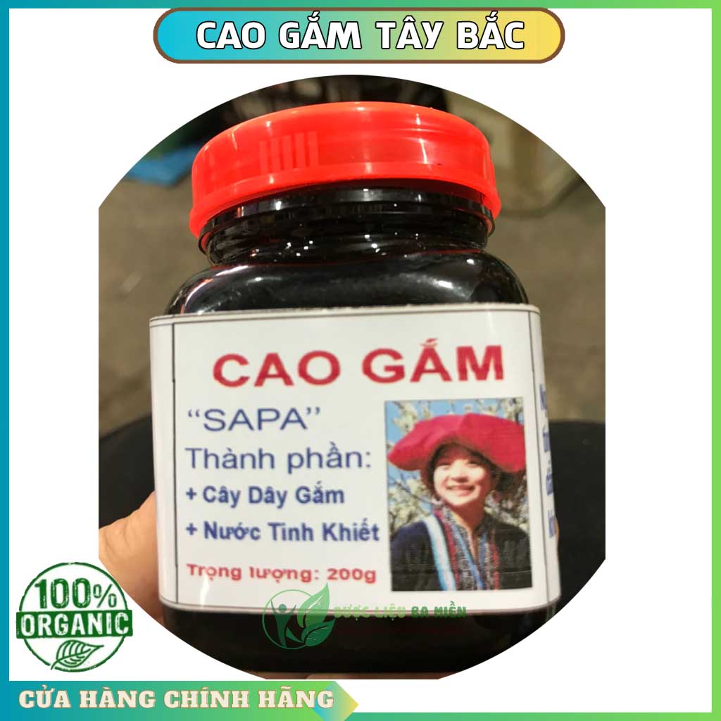 Cao Gắm Tây Bắc