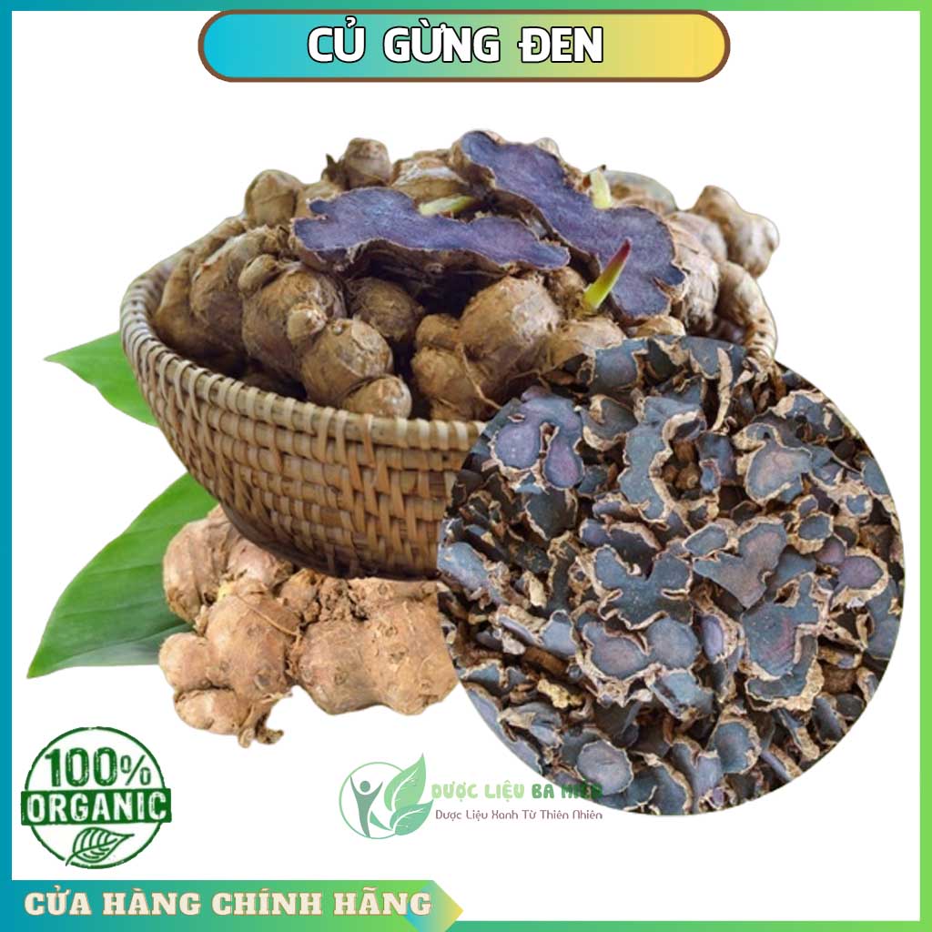 Cây gừng đen