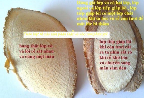 phân biệt pháo tam phân giả