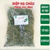 Cây Chó Đẻ (Diệp Hạ Châu) - Hỗ trợ điều trị viêm gan, suy giảm chức năng