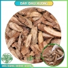 Dây Đau Xương - Thảo dược quý chữa bệnh xương khớp hiệu quả